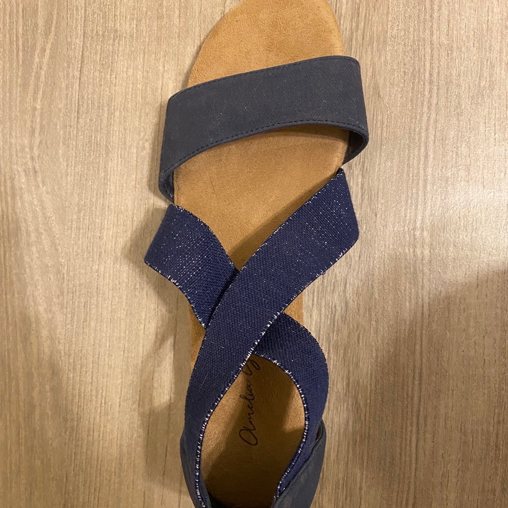 Navy/Blue Sandals